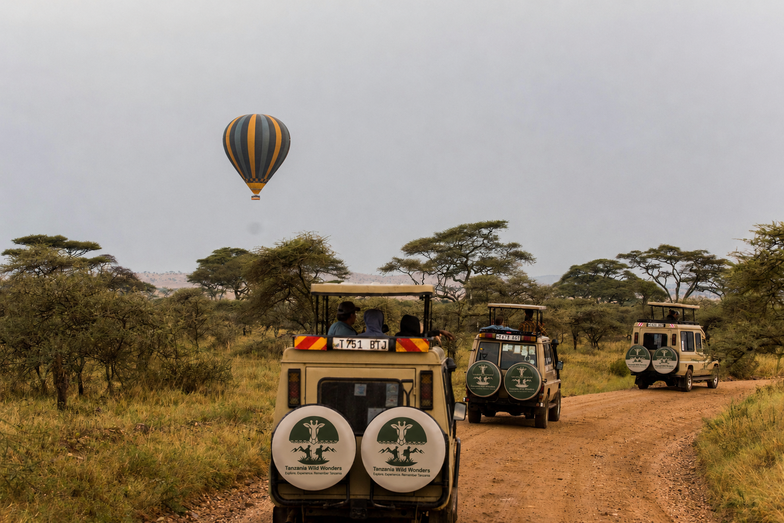 Wildlife viewing on a Tanzania safari